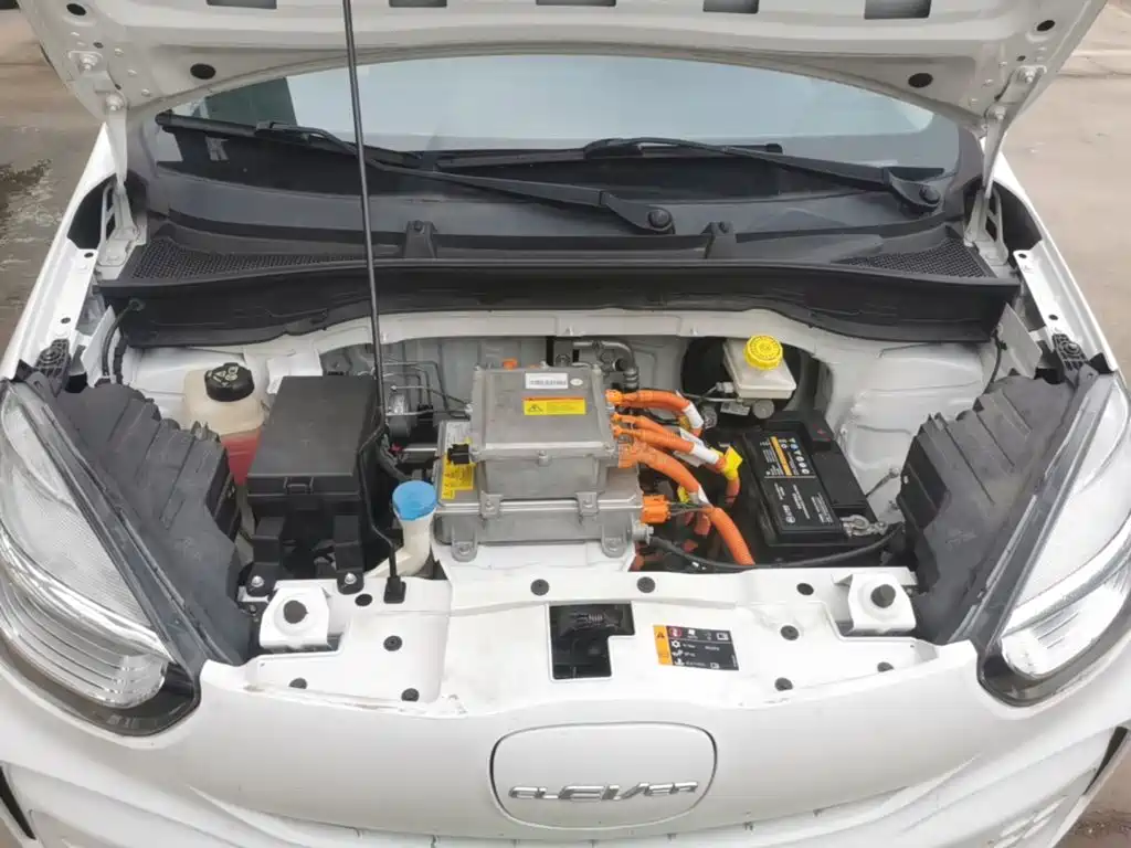 Roewe Clever 2023 2022 311km Vitality Bobo Edition