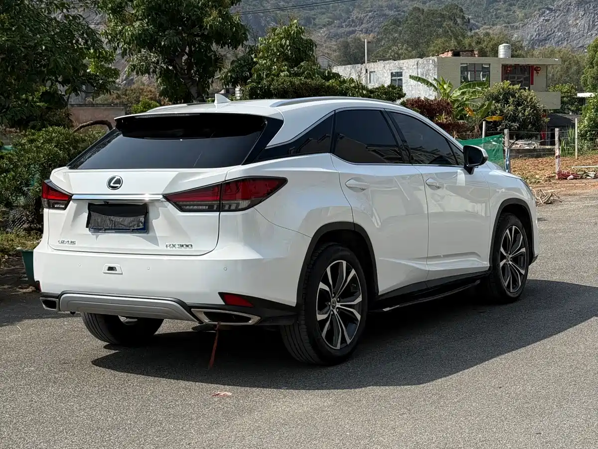 LEXUS RX