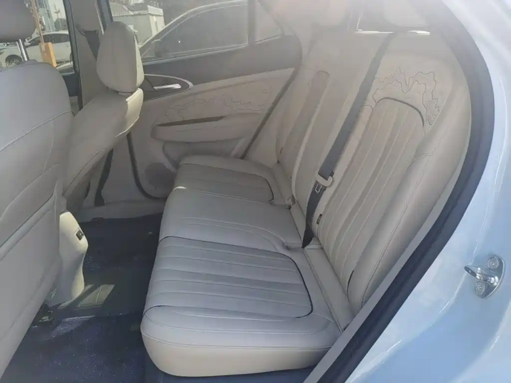 Ora Good Cat 2023 2022 400km Standard Range Luxury LFP