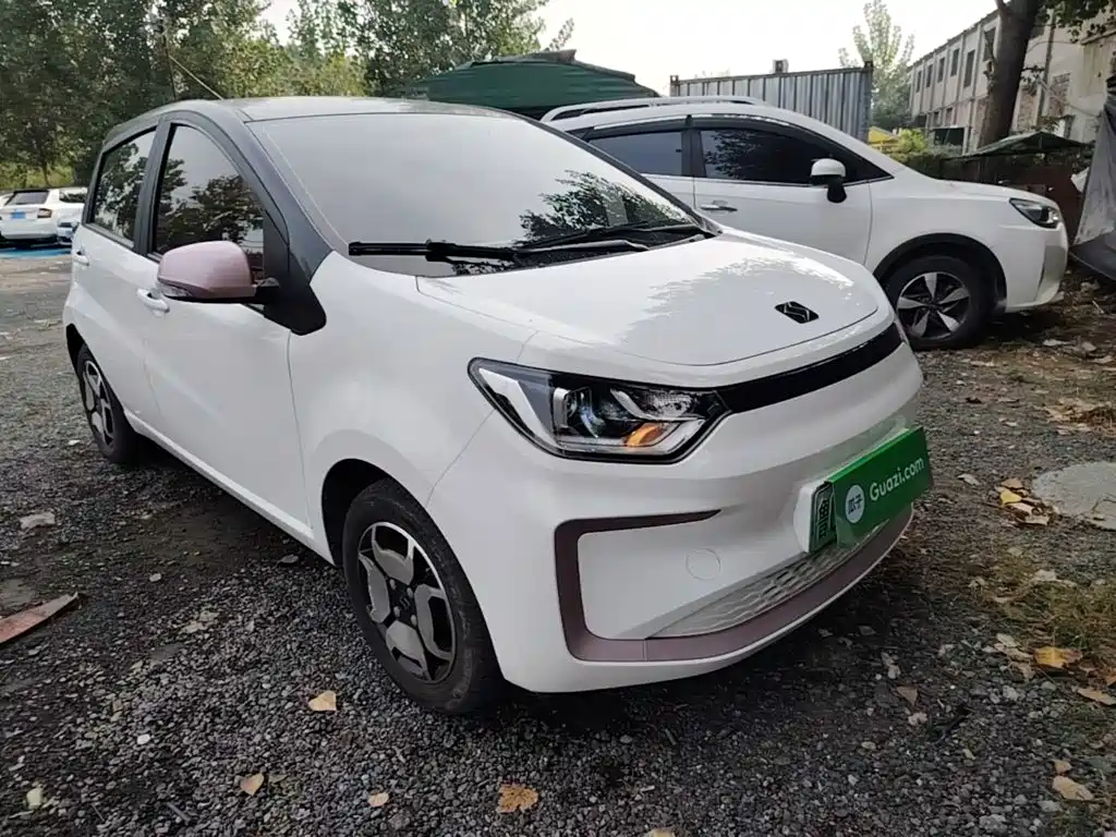 Sehol Flower Fairy 2021 2021 302km Luxury Edition 31.4kWh