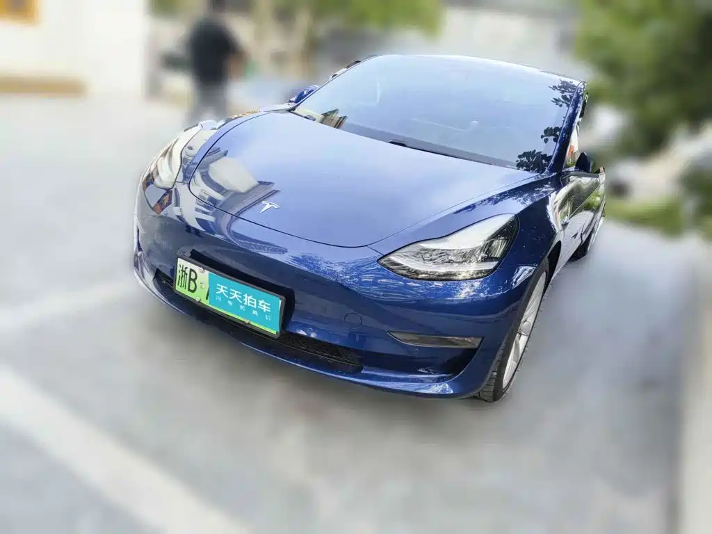 Tesla Model 3 (Import) 2019 Long Range RWD Version