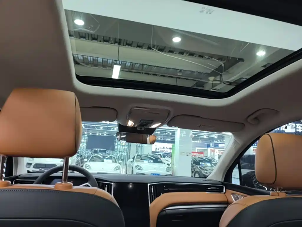 Photo 18 - Hongqi HS7 PHEV