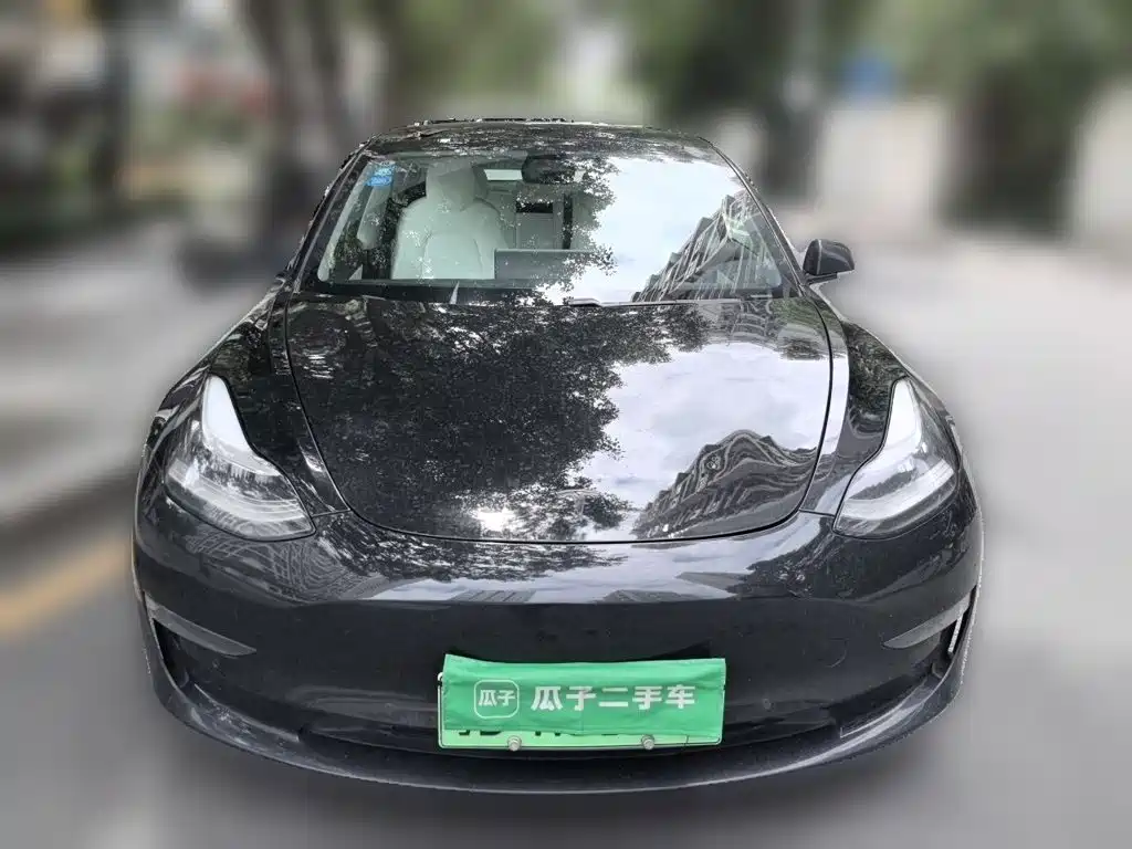 2020 Tesla Model 3 (Import)