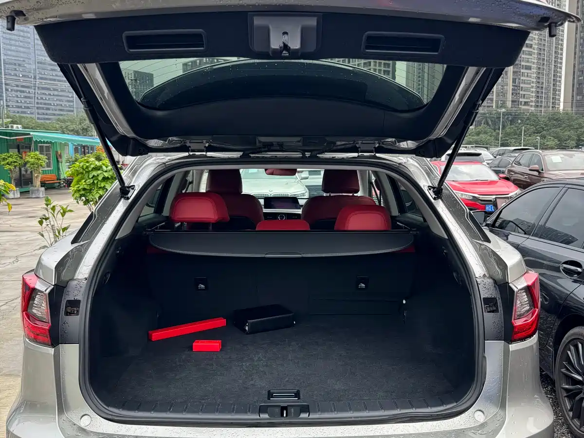 Lexus RX 2016 300 2WD Elite Edition (China V) фото 19