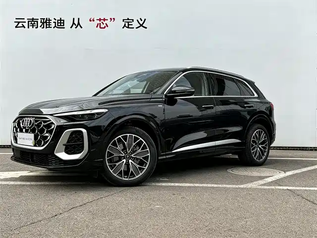 Audi Q5L 2.0T, Юбилейная