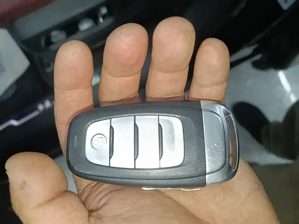 Hongqi E-HS9 2022 690km Qi Xiang Edition (6-seater) фото 9