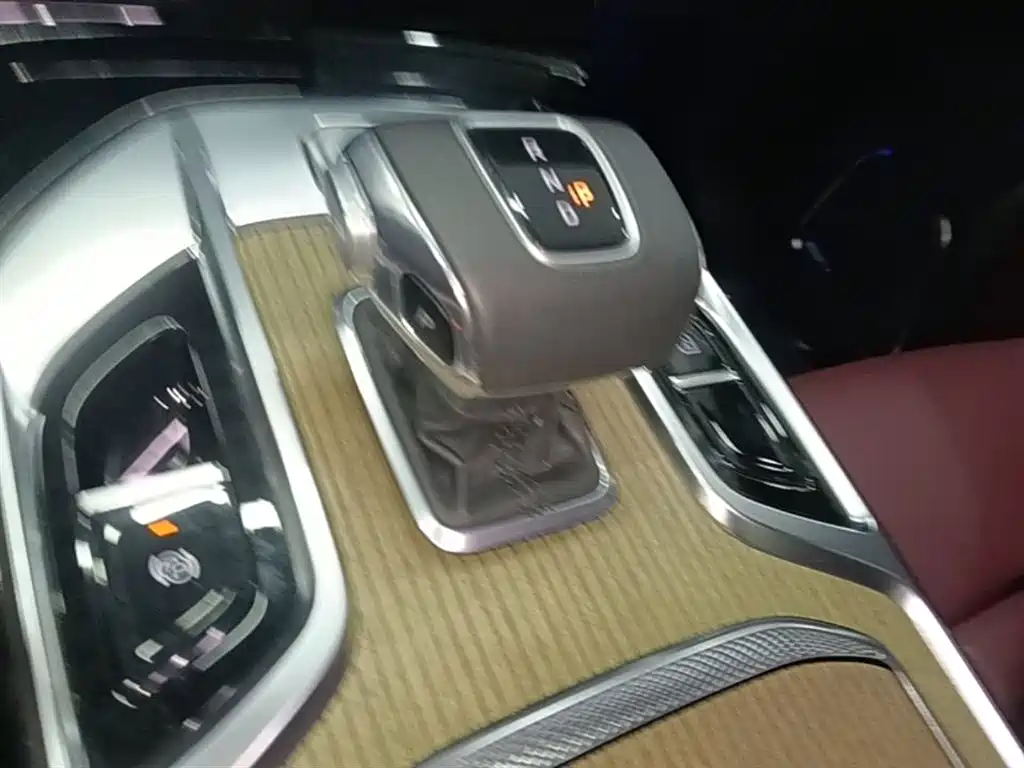 Hongqi E-HS9 2022 690km Qi Xiang Edition (6-seater) фото 14