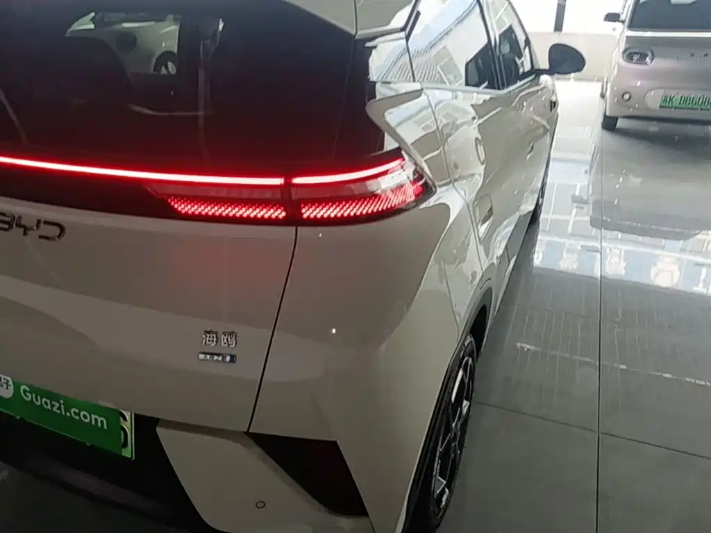 BYD Seagull 2025 Smart Drive Edition 305km Freedom Version фото 8