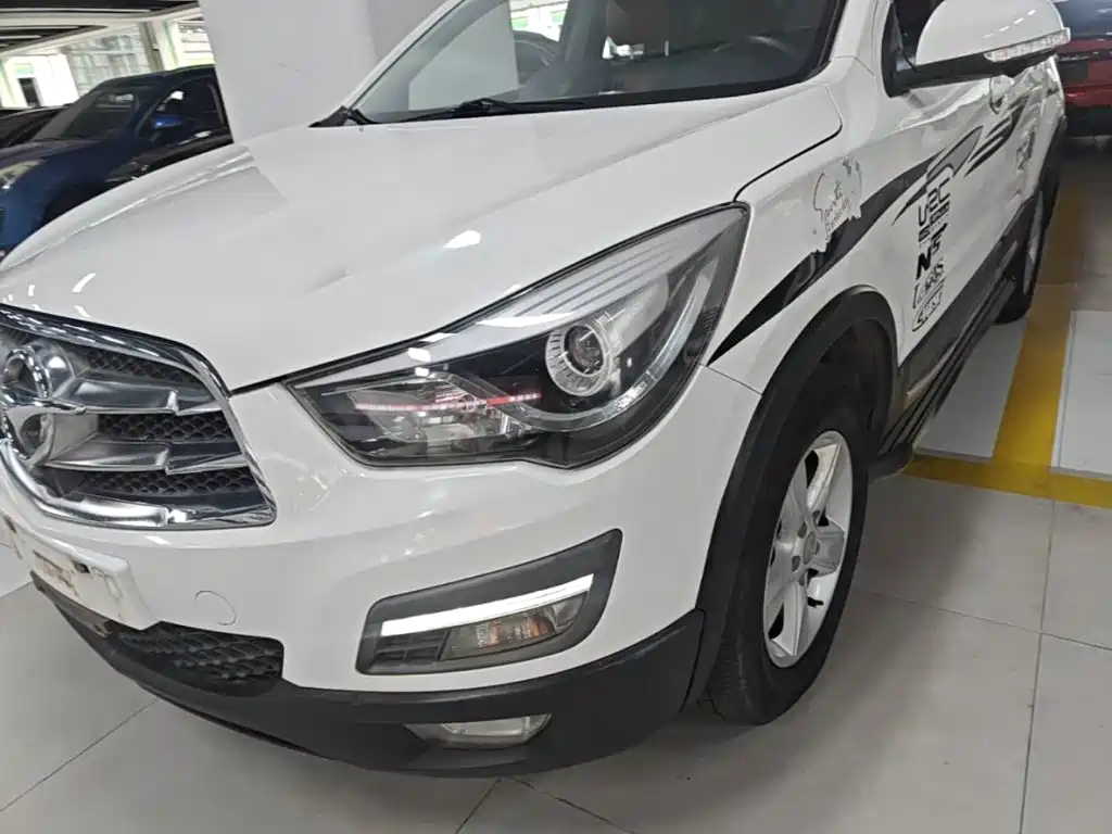 صورة 24 - Haima S5