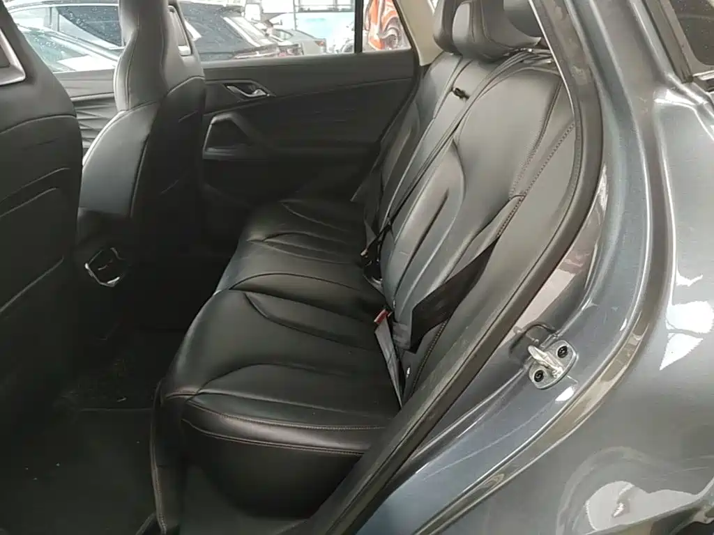 Roewe RX5 2023 2023 1.5T Luxury Sliding Screen Edition