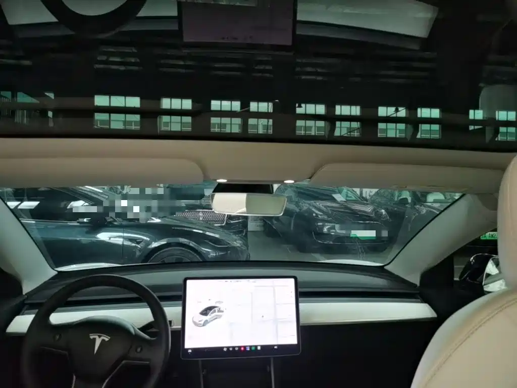 Tesla Model 3 (Import) 2020 2019 Standard Range RWD Upgraded Edition