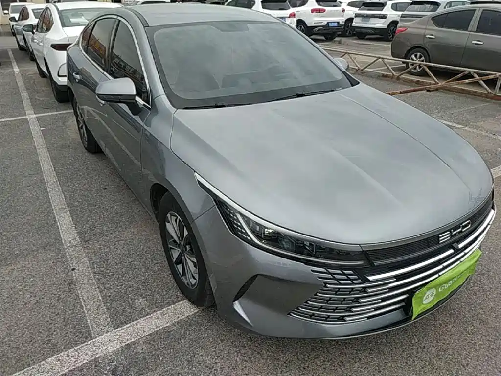BYD Destroyer 05 2024 Glory Edition DM-i 55KM Luxury фото 4
