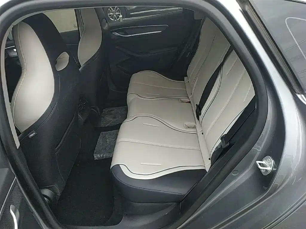 BYD Destroyer 05 2024 Glory Edition DM-i 55KM Luxury фото 17