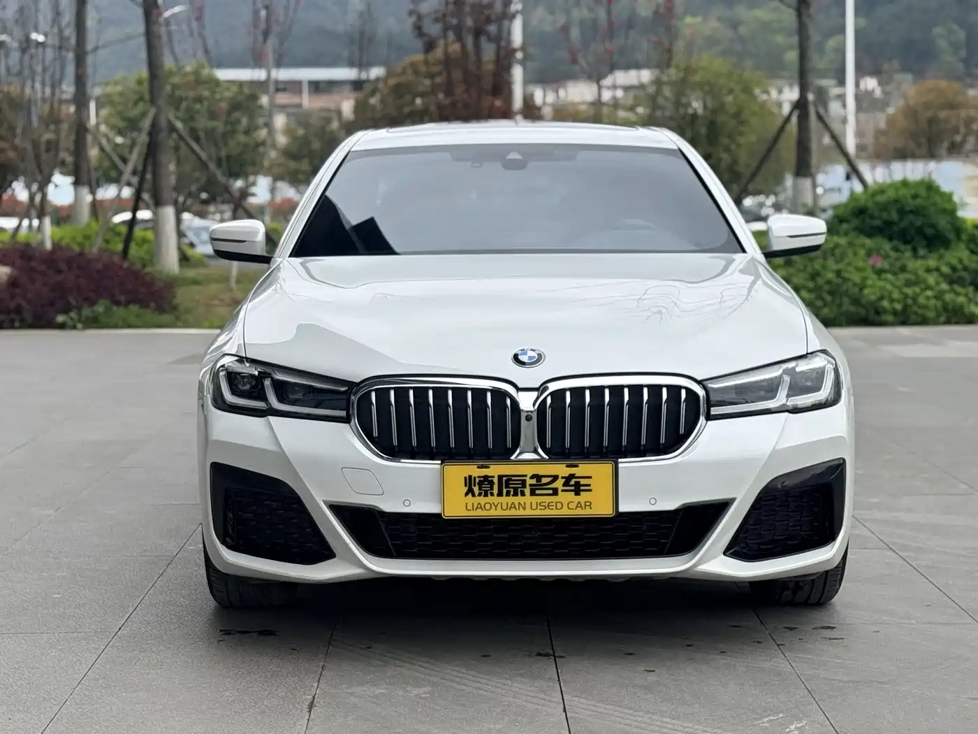 BMW 5 Series 2022 Facelift 530Li Premium M Sport Package фото 2