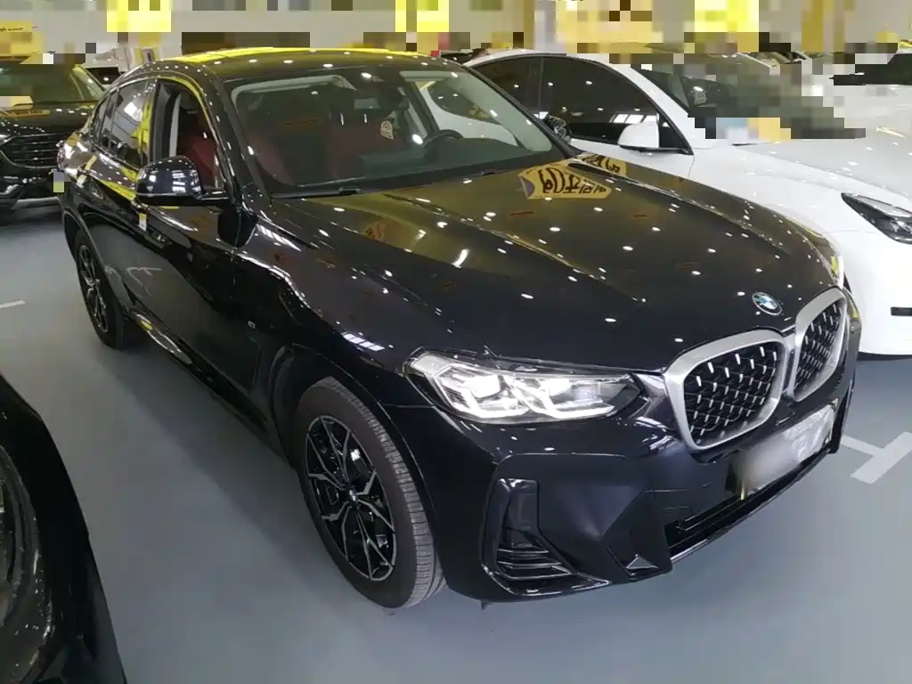 BMW X4 2023 2022 xDrive 25i M Sport Package