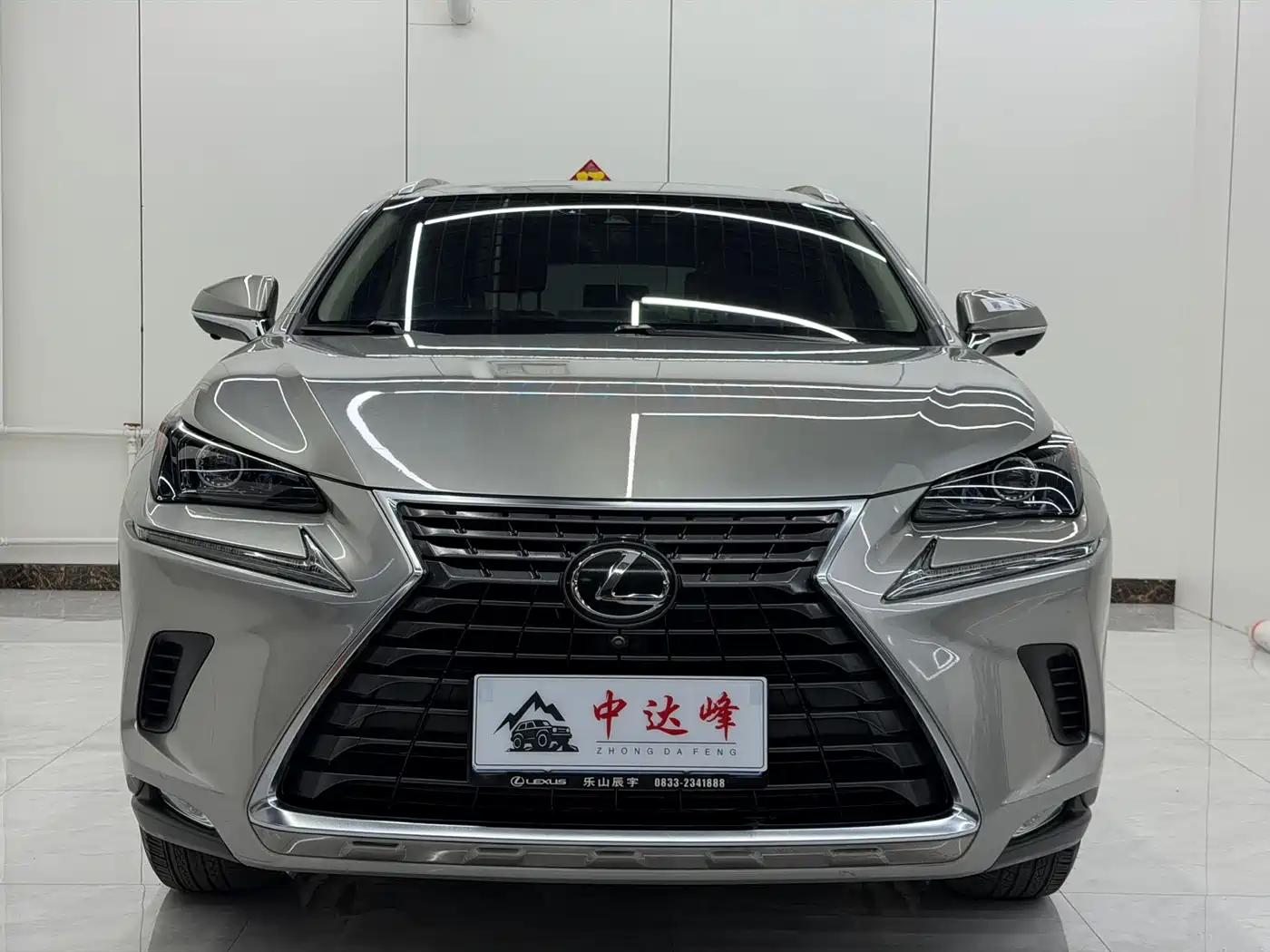 Lexus NX 2020 200 AWD F Sport China VI фото 2