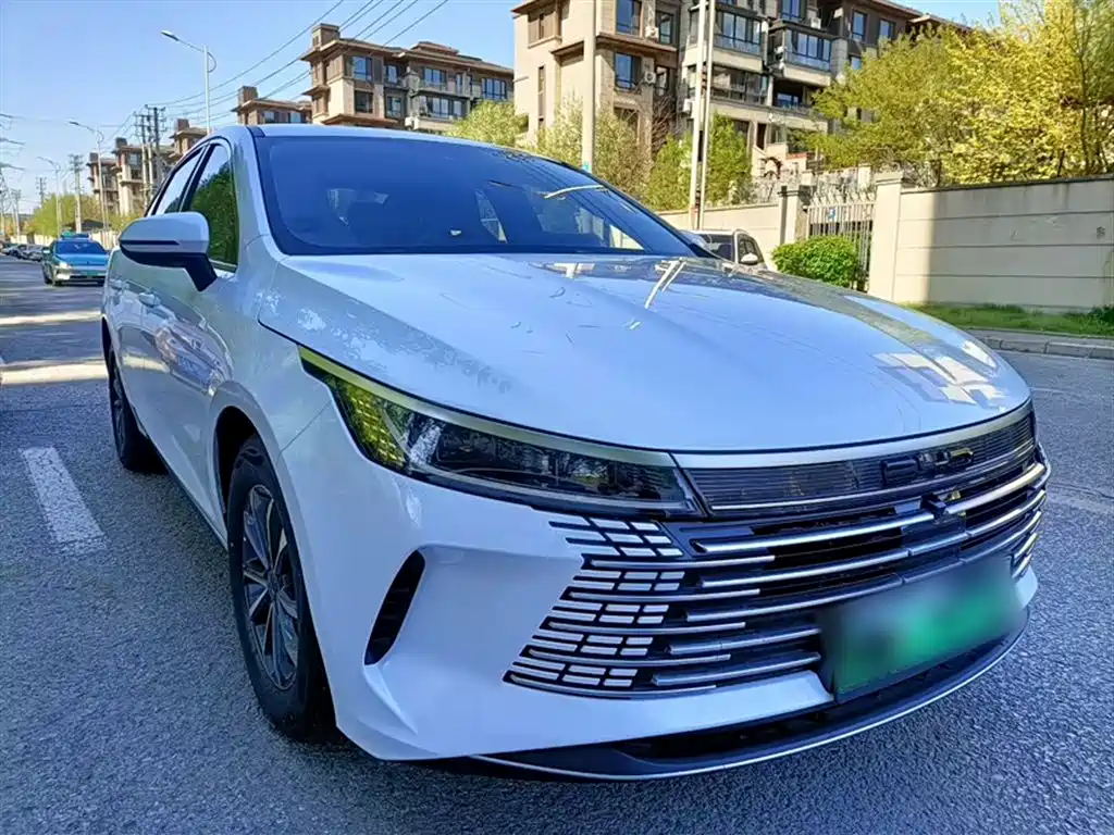 BYD Destroyer 05 2024 Glory Edition DM-i 55KM Luxury фото 3