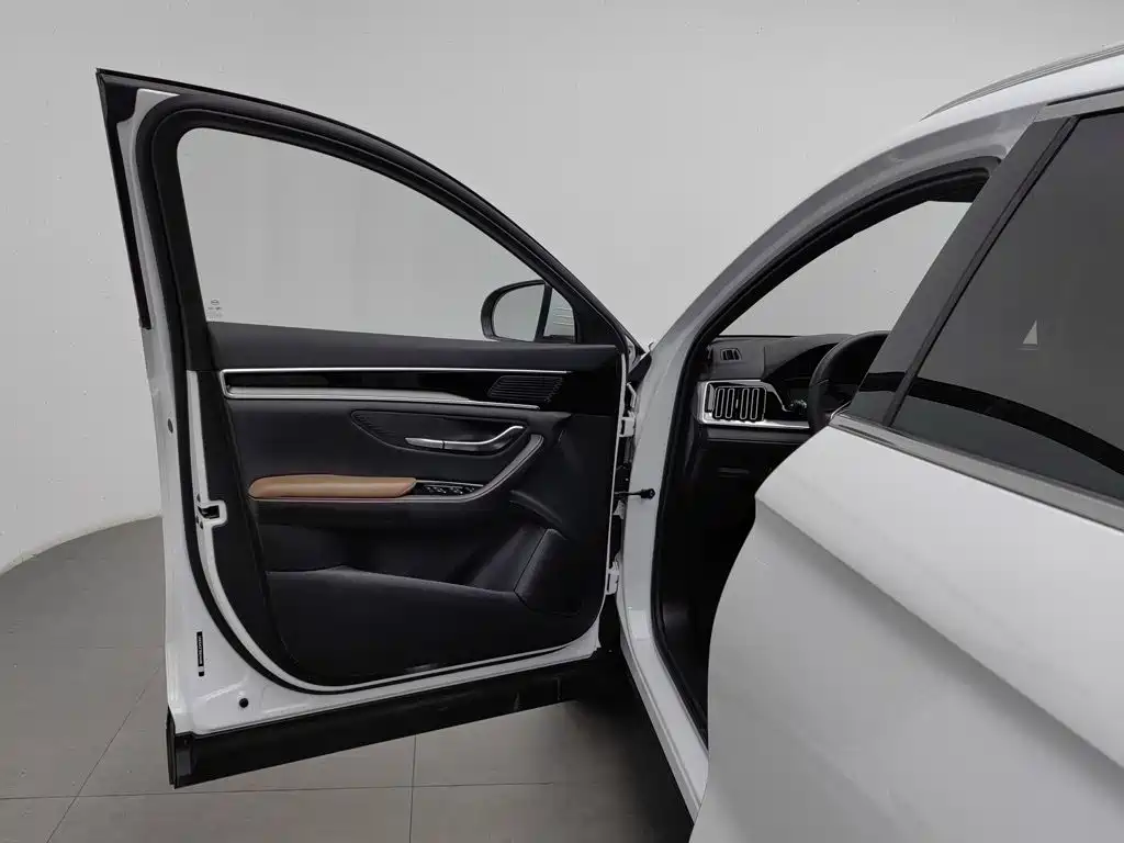 BYD Song PLUS 2021 2020 1.5T Automatic Premium