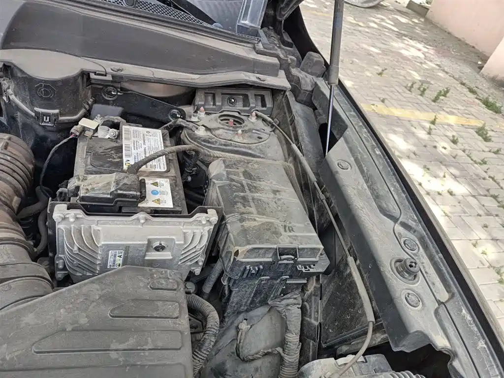 Haval Big Dog 2022 1.5T DCT FWD Border Collie Edition фото 22