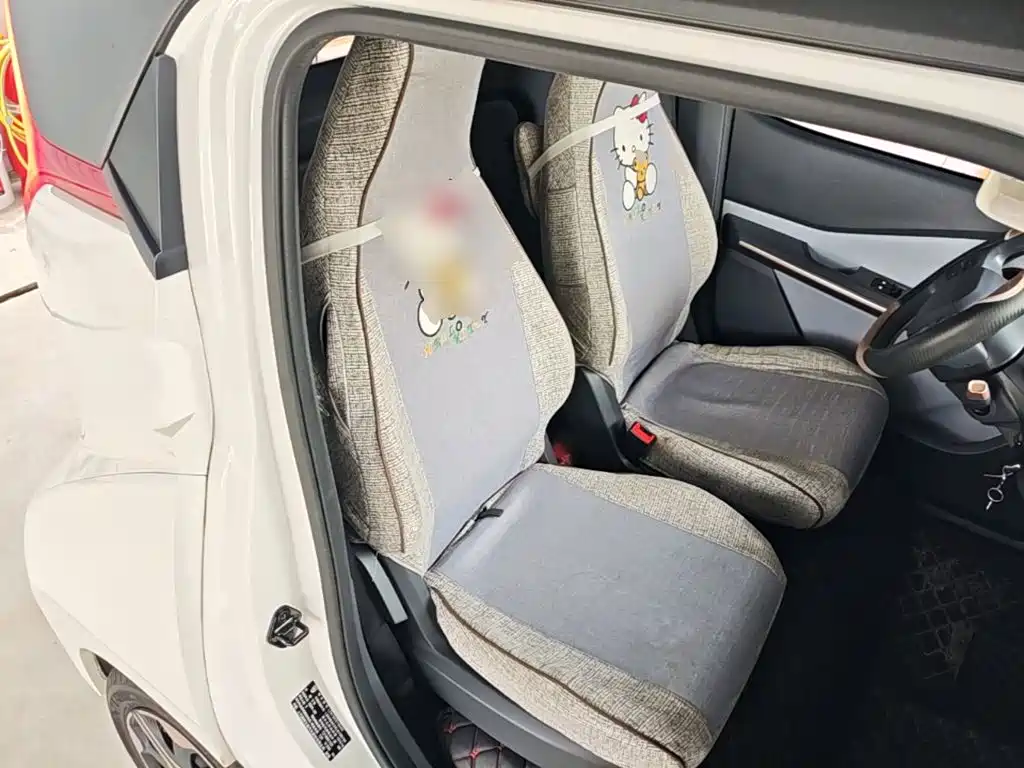 Baojun E200 2020 2020 305KM Smart Edition