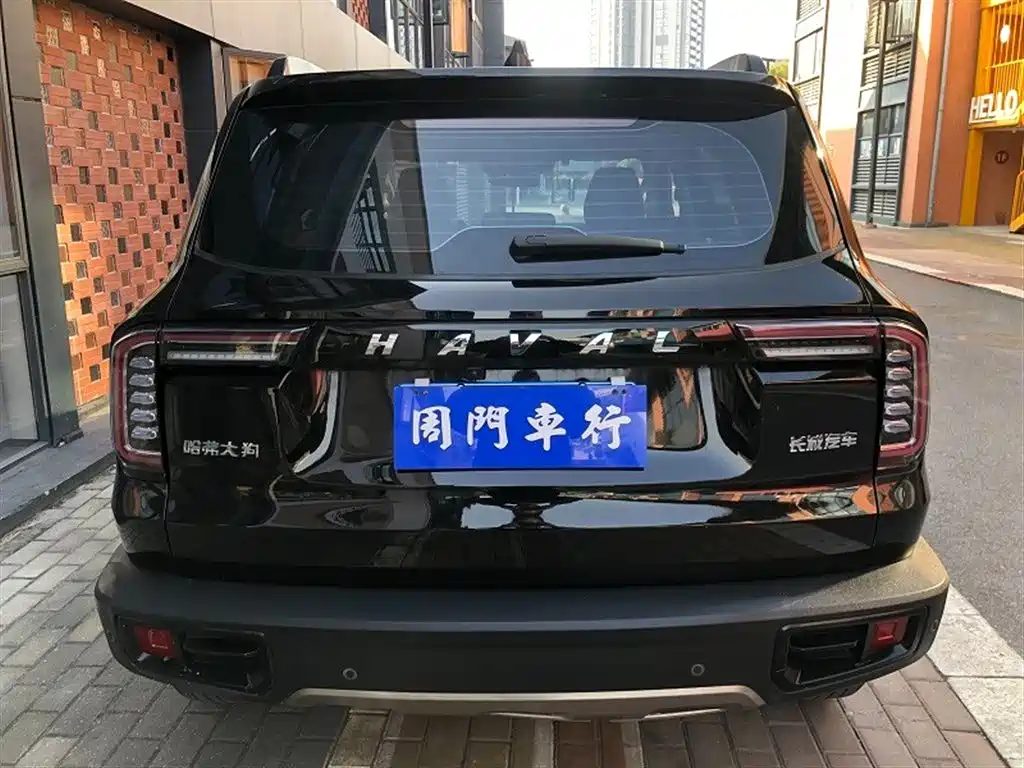 HAVAL BIG DOG