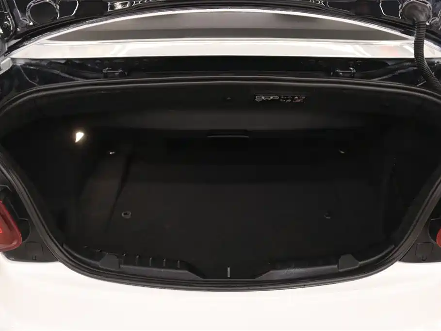 BMW 2 Series (Import) 2015 218i Convertible Coupe фото 16