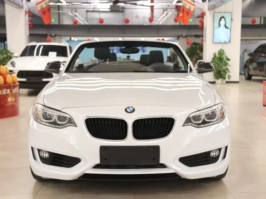 BMW 2 Series (Import) 2015 218i Convertible Coupe фото 2