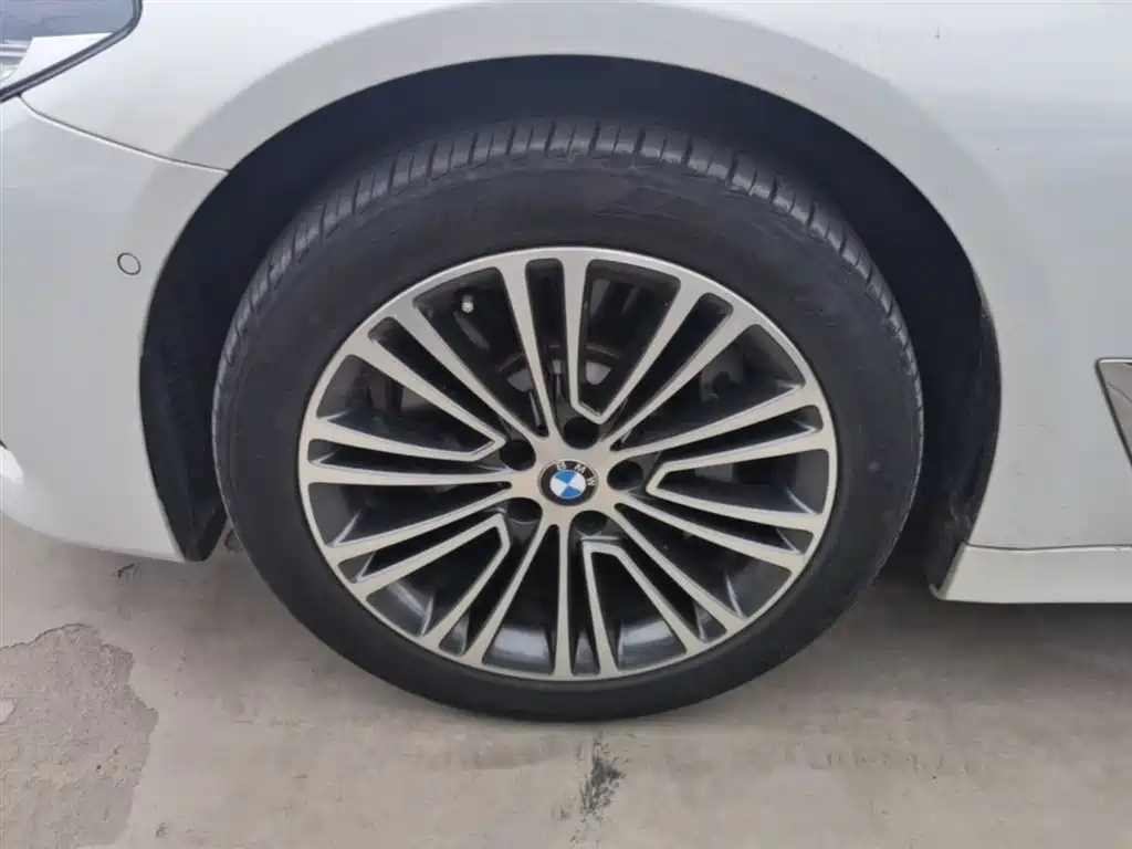 BMW 5 Series 2019 530Li Premium Luxury Package фото 23