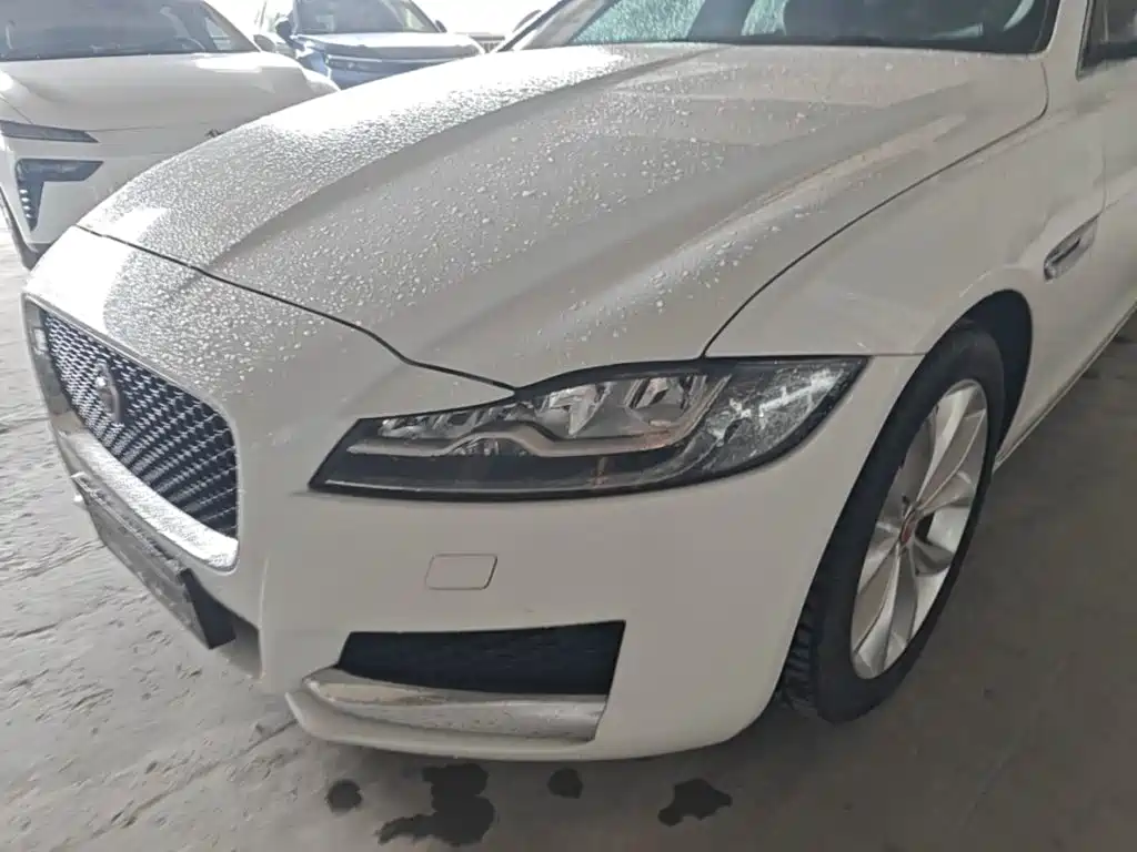 Фото 24 - Jaguar XFL
