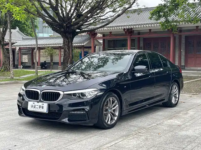 BMW 5 Series (Import) 2019 525i M Sport Package — фото 1