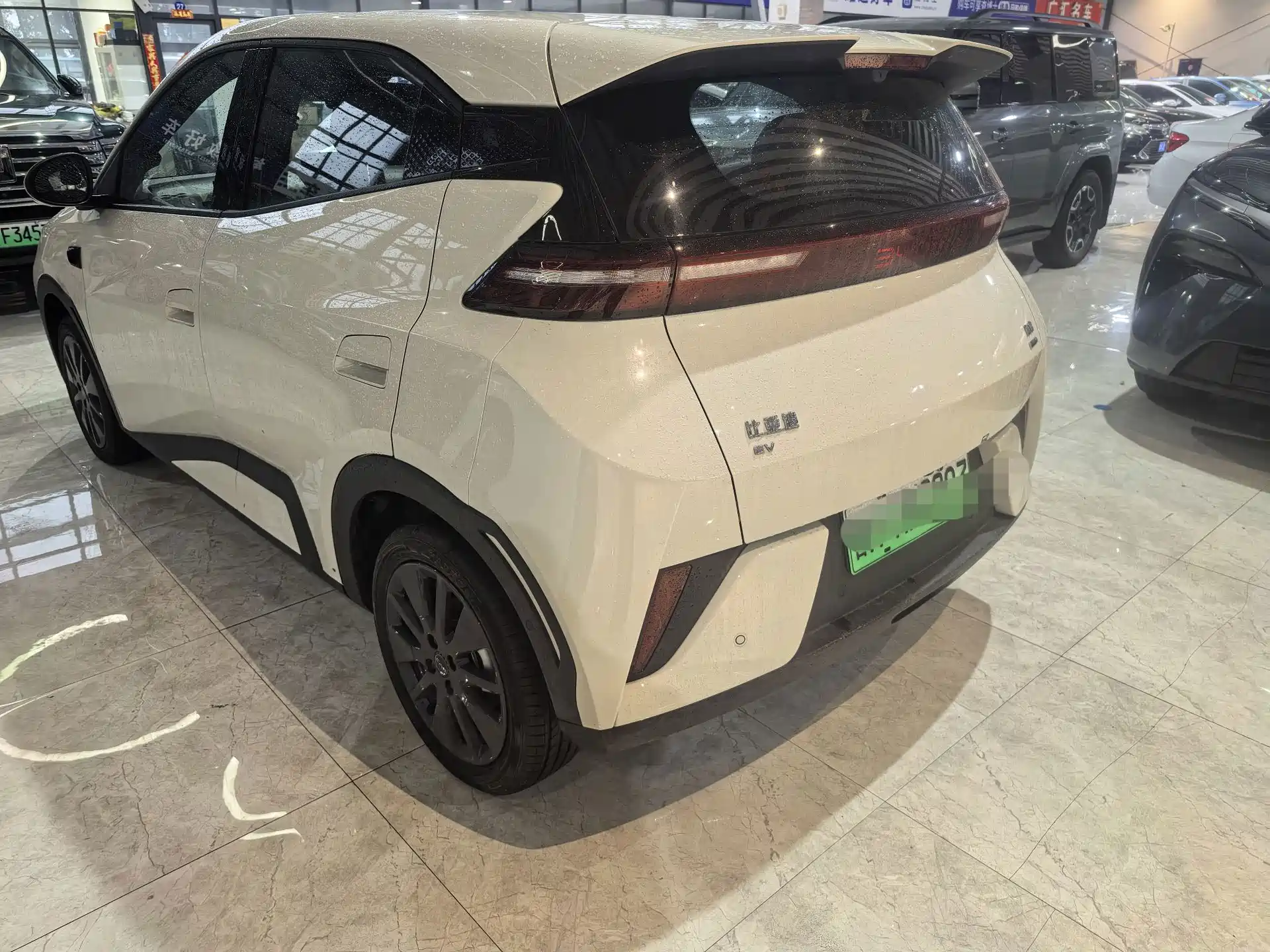 صورة 6 - BYD Seagull