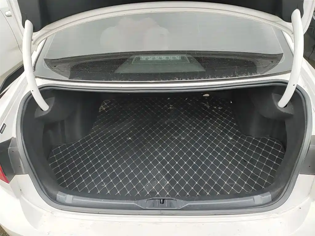 VOLKSWAGEN LINGDU