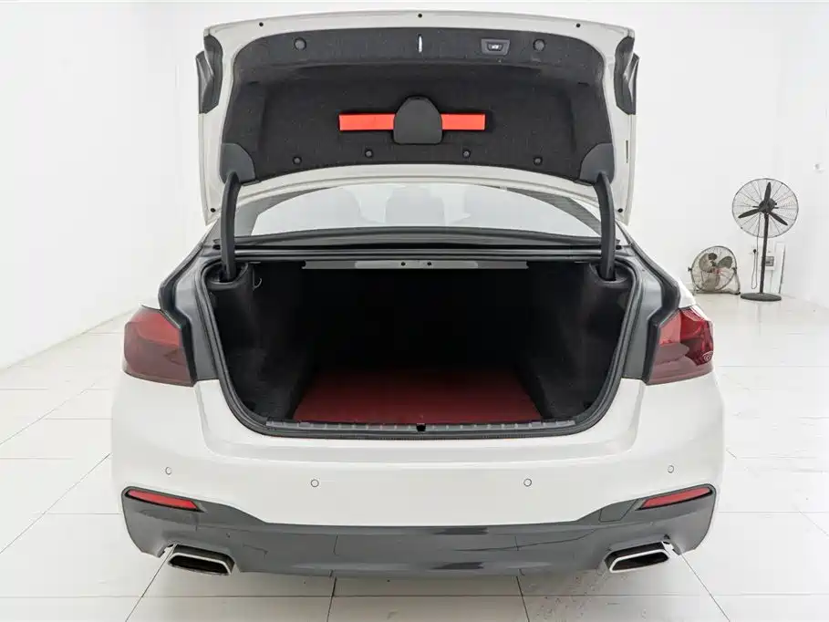 BMW 5 Series 2019 Facelift 530Li Leading M Sport Package фото 14