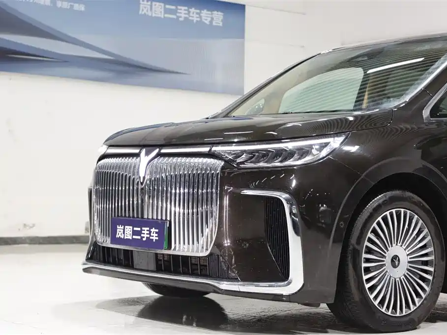 Voyah Auto Voyah Dreamer 2025 PHEV 4WD Kunpeng Premium Edition фото 4