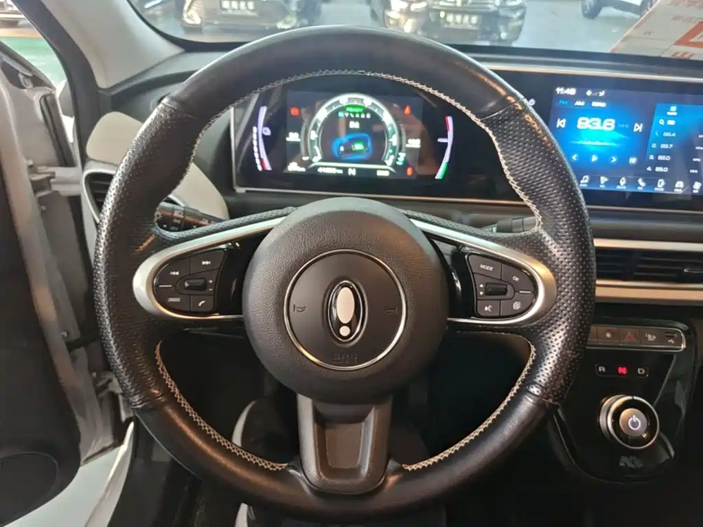 Ora White Cat 2021 2020 360km Luxury Model