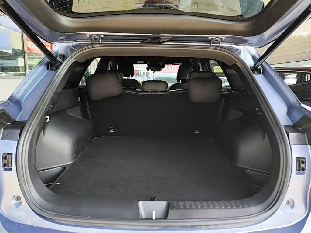 Haval Shenshou 2022 2022 1.5T Smart Enjoyment Edition