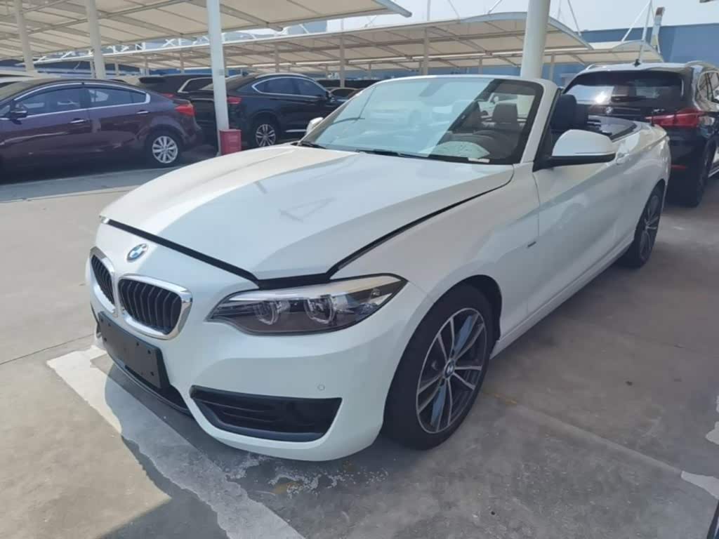 BMW 2 Series (Import)