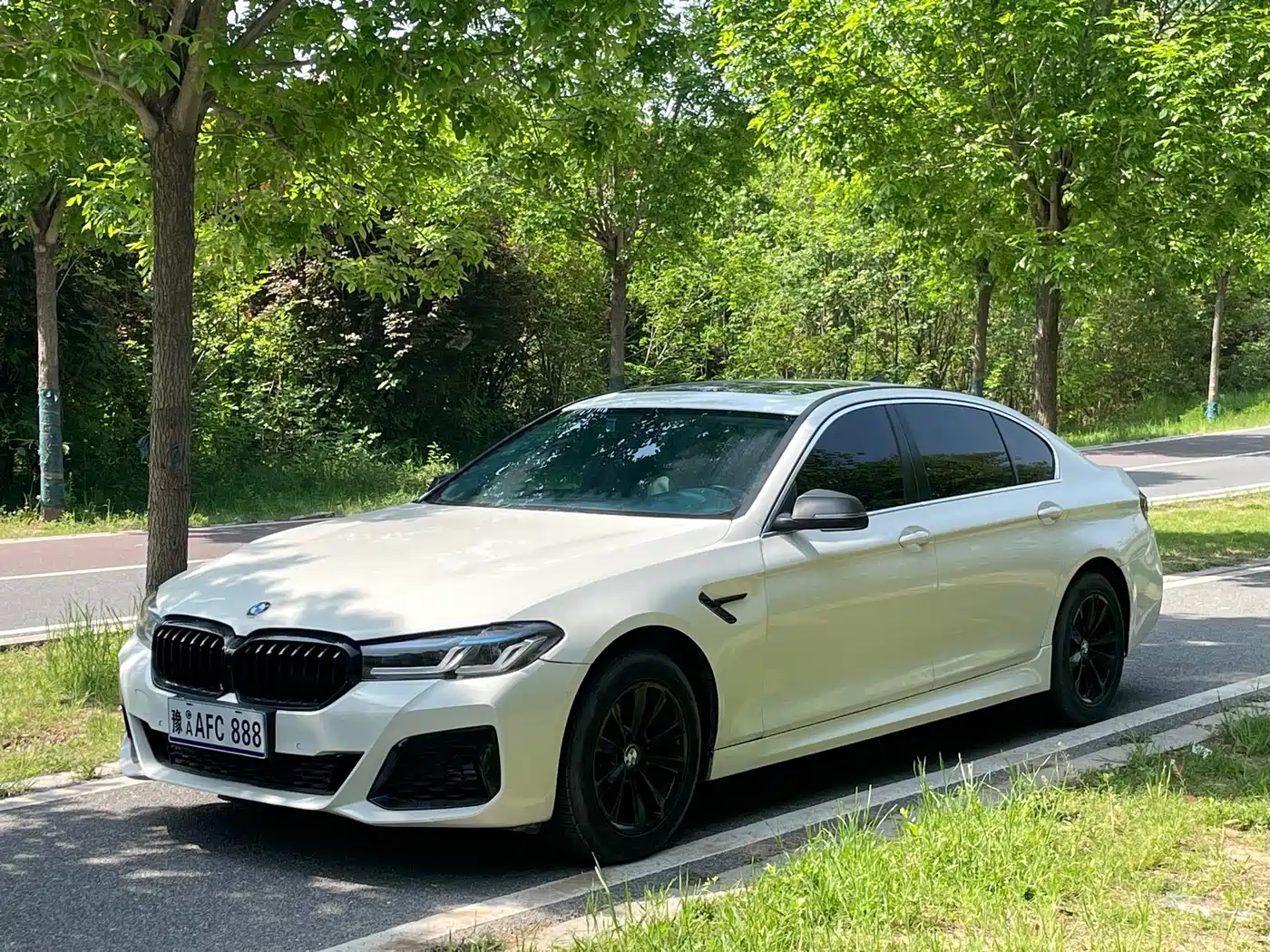 BMW 5 Series 2013 520Li Elegance