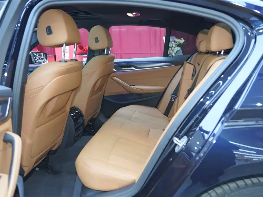 BMW 5 Series (Import) 2022 Facelift 525i M Sport Package фото 20