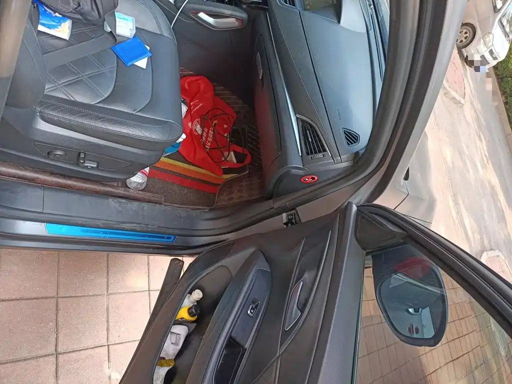 Borgward BX7 2019 2018 2.0T TS AWD Luxury (China V)