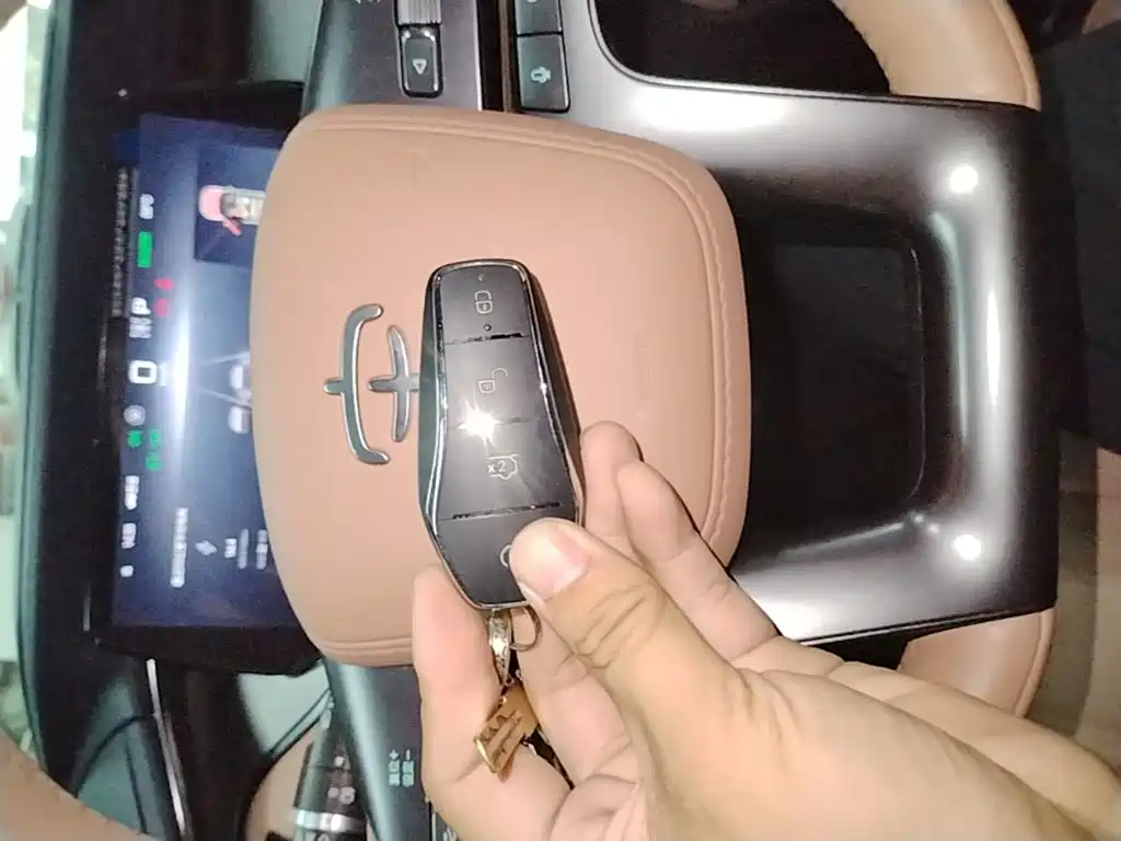 BYD Song L EV 2024 2024 550km Surpassing Type