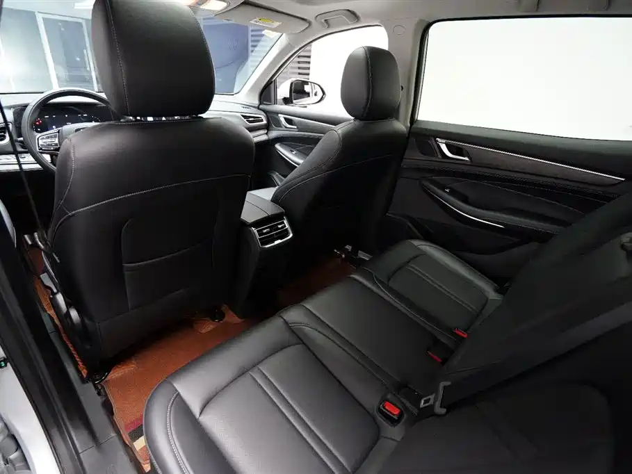 Landian E5 2024 2024 Glory Edition 100KM Comfort Type 7-Seater