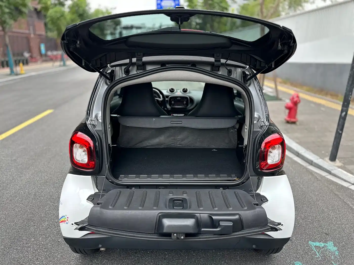 smart fortwo 2019 2018 1.0L 52kW Hardtop Agile Edition China V