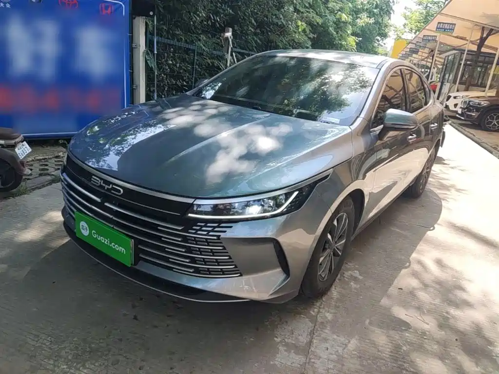 BYD Destroyer 05 2024 Glory Edition DM-i 55KM Luxury фото 2