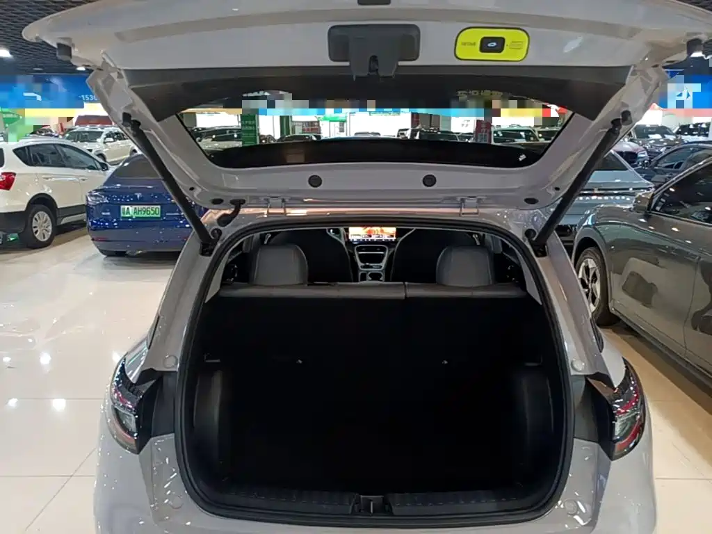 Geely Galaxy Starry Wish 2026 2026 Edition 410km Freedom Version