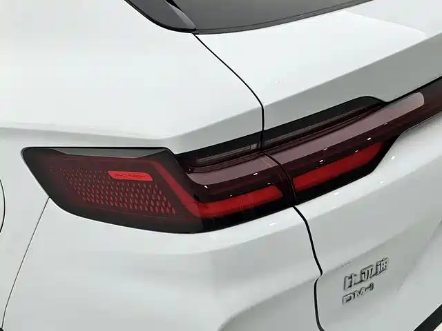 BYD Song PLUS PHEV 2023 Champion Edition DM-i 150KM Flagship PLUS фото 9