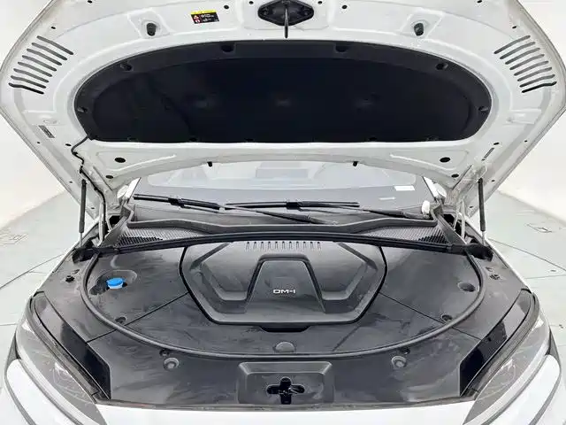 BYD Song PLUS PHEV 2023 Champion Edition DM-i 150KM Flagship PLUS фото 11