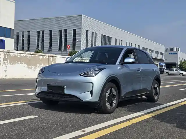 Geely Xingyuan 310km, Мечта