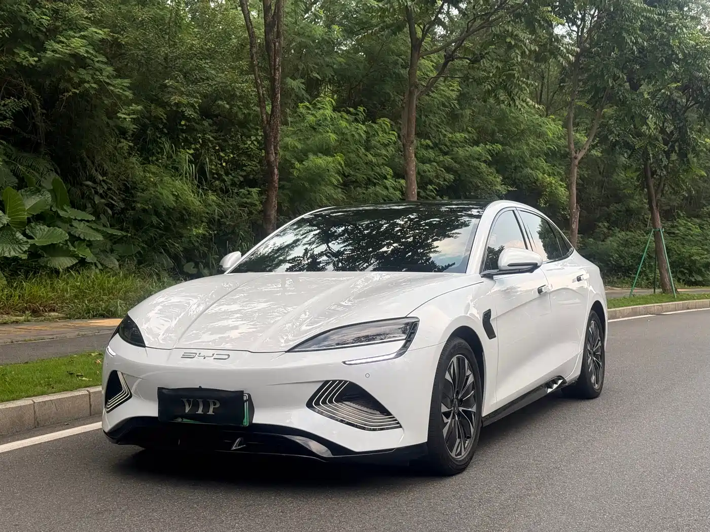 BYD Seal 2024 2023 Champion Edition 550km Elite