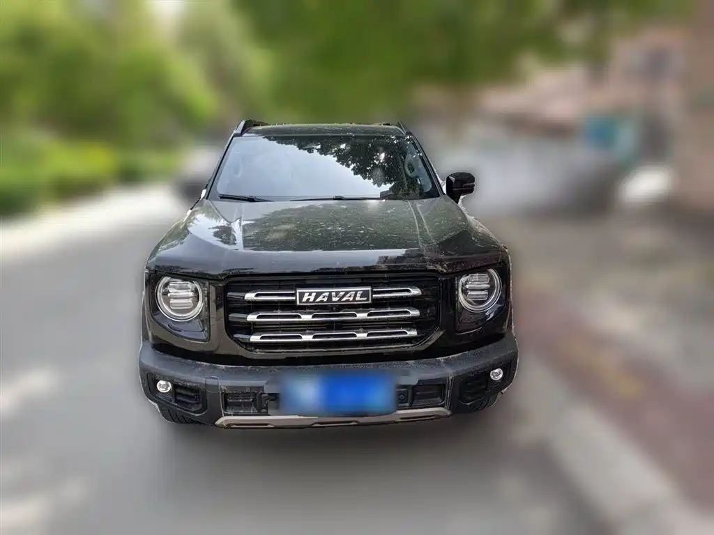 Haval Big Dog 2022 1.5T DCT FWD Border Collie Edition фото 24
